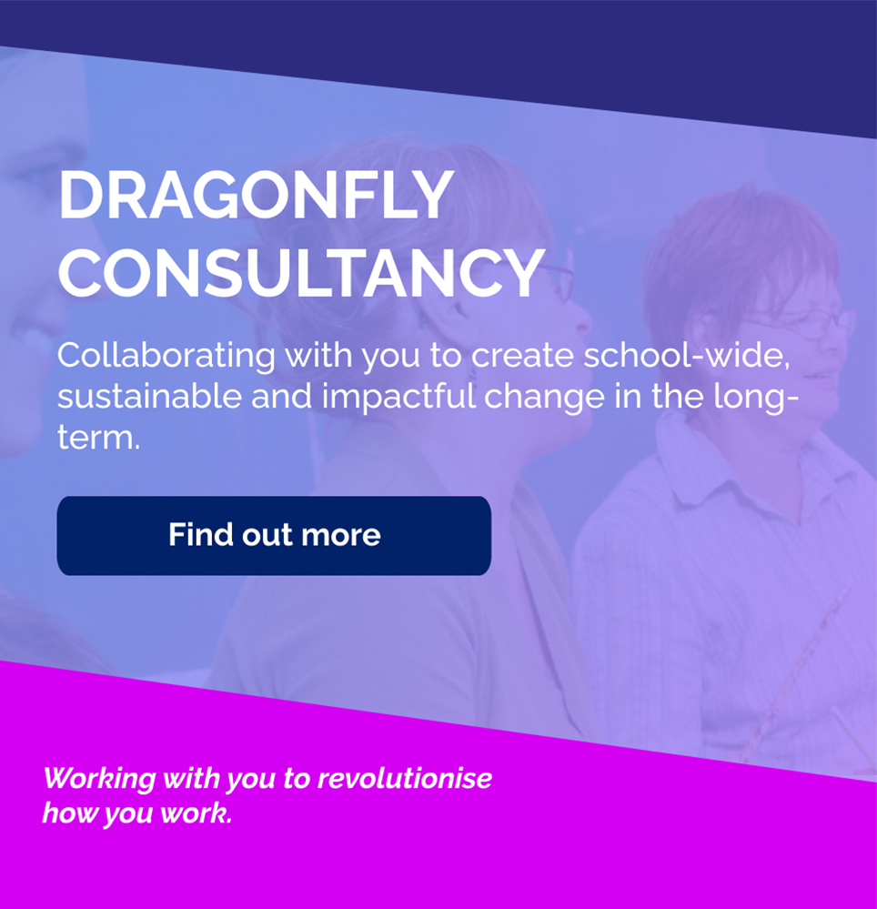 dragonfly-consultancy-banner
